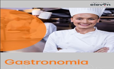 LIVRO DE RECEITAS INSTITUTO ELEVEN