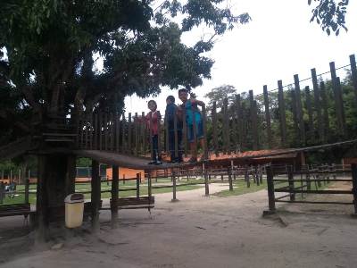 Foto 16 - Aula de Campo na Fazendinha