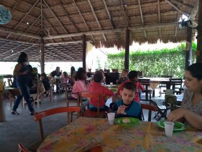Foto 33 - Aula de Campo na Fazendinha